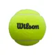 Wilson Premier Padel Speed Pelotas – Tubo de 3 - imagen 2